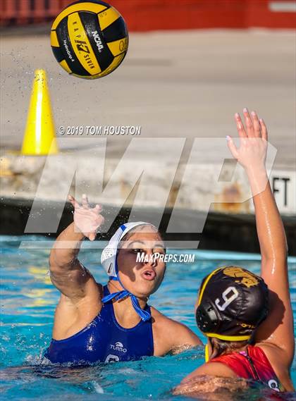 Thumbnail 2 in Chino @ Don Lugo photogallery.