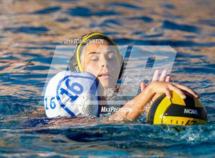 Thumbnail 3 in Chino @ Don Lugo photogallery.