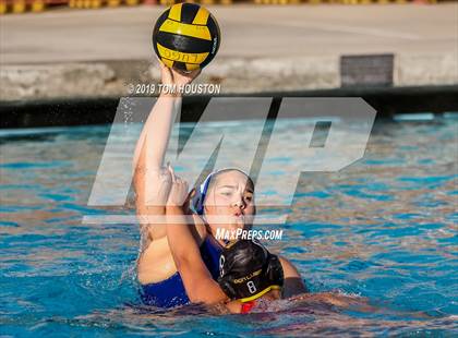 Thumbnail 1 in Chino @ Don Lugo photogallery.