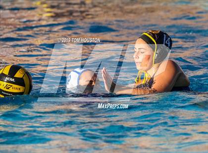 Thumbnail 1 in Chino @ Don Lugo photogallery.