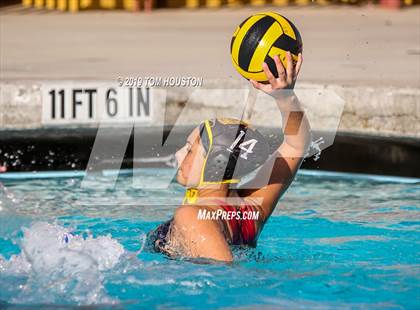 Thumbnail 1 in Chino @ Don Lugo photogallery.