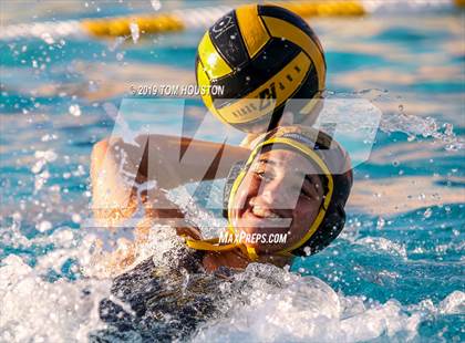 Thumbnail 3 in Chino @ Don Lugo photogallery.