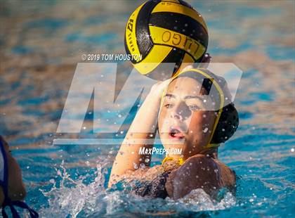 Thumbnail 3 in Chino @ Don Lugo photogallery.