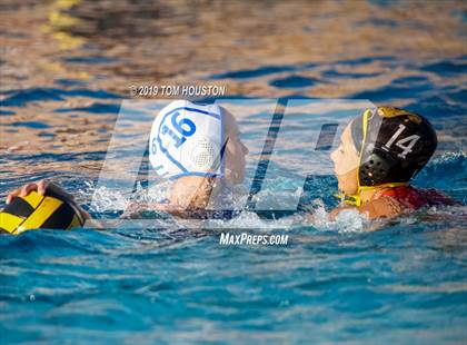 Thumbnail 1 in Chino @ Don Lugo photogallery.
