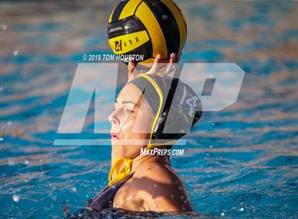 Thumbnail 1 in Chino @ Don Lugo photogallery.