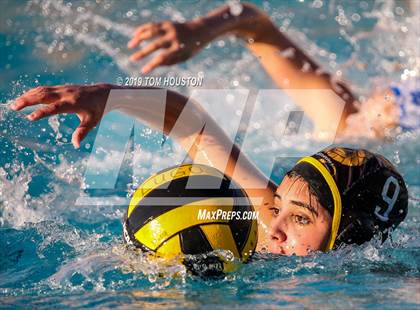 Thumbnail 3 in Chino @ Don Lugo photogallery.