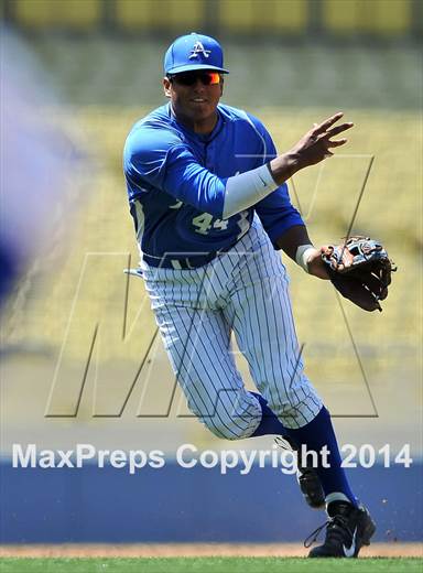 null - Photo 01