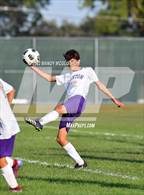 Photo from the gallery "Canton @ Limestone"