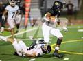 Photo from the gallery "Whitehouse @ Pine Tree"
