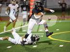 Photo from the gallery "Whitehouse @ Pine Tree"