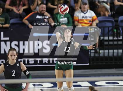 Thumbnail 3 in Cinco Ranch vs. Stratford (UIL 6A Region 3 Quarter Finals) photogallery.