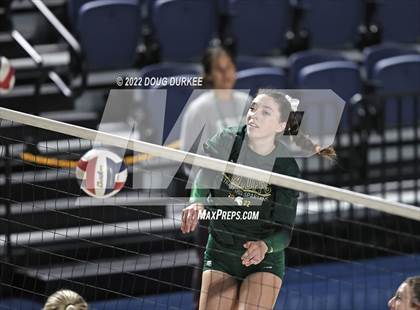 Thumbnail 1 in Cinco Ranch vs. Stratford (UIL 6A Region 3 Quarter Finals) photogallery.