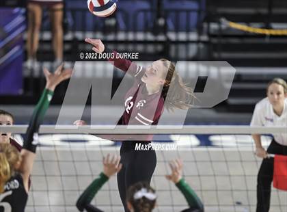 Thumbnail 3 in Cinco Ranch vs. Stratford (UIL 6A Region 3 Quarter Finals) photogallery.