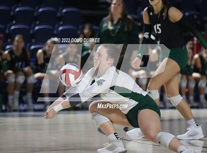 Thumbnail 1 in Cinco Ranch vs. Stratford (UIL 6A Region 3 Quarter Finals) photogallery.
