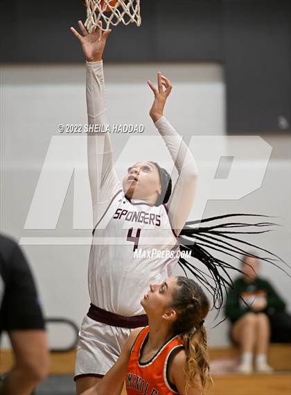 Thumbnail 1 in Seminole @ Tarpon Springs photogallery.