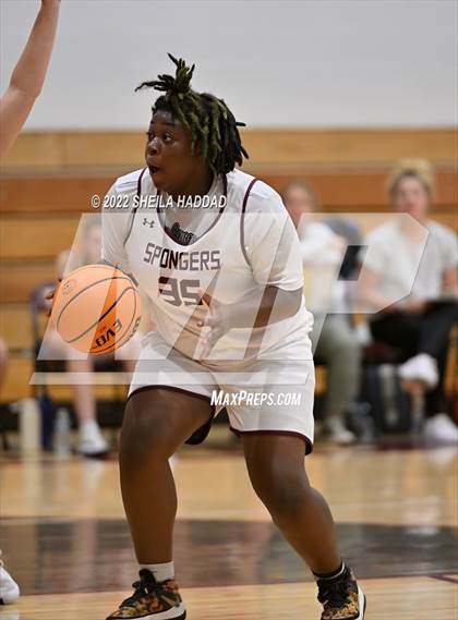 Thumbnail 3 in Seminole @ Tarpon Springs photogallery.