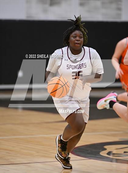 Thumbnail 1 in Seminole @ Tarpon Springs photogallery.