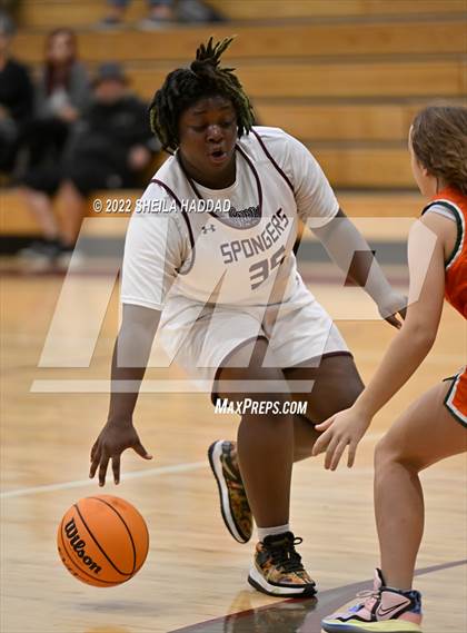 Thumbnail 3 in Seminole @ Tarpon Springs photogallery.