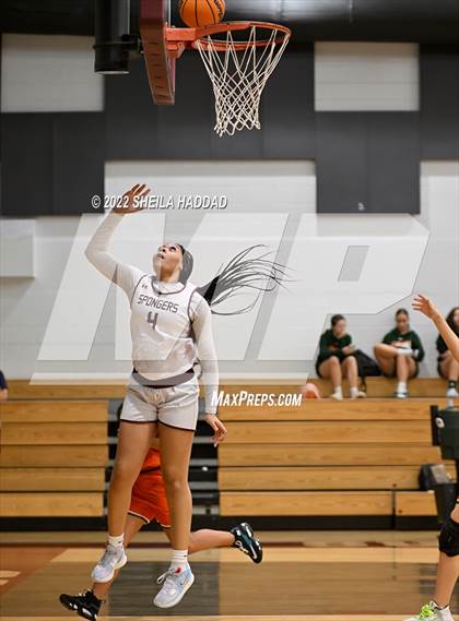 Thumbnail 2 in Seminole @ Tarpon Springs photogallery.