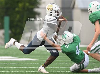 Thumbnail 3 in Holy Cross @ Newman (Scrimmage) photogallery.