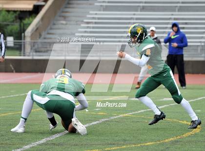 Thumbnail 1 in Williamsville North @ Hutchinson-Central Tech/Emerson Vo-Tech/City Honors/School of the Arts photogallery.