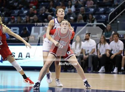 Thumbnail 1 in Springville vs. Lehi (UHSAA 5A Final) photogallery.