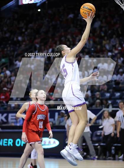 Thumbnail 1 in Springville vs. Lehi (UHSAA 5A Final) photogallery.