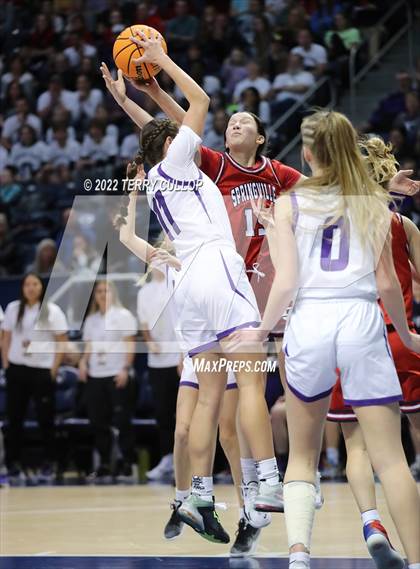 Thumbnail 3 in Springville vs. Lehi (UHSAA 5A Final) photogallery.