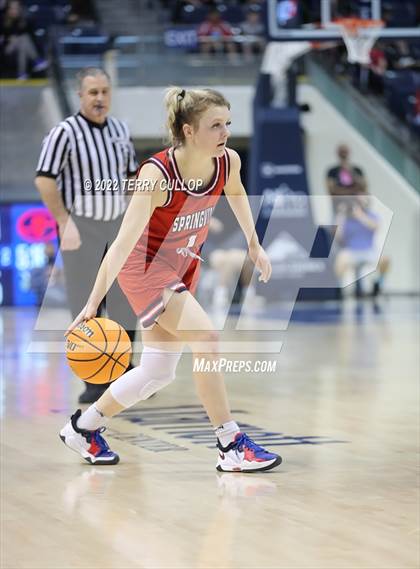 Thumbnail 3 in Springville vs. Lehi (UHSAA 5A Final) photogallery.