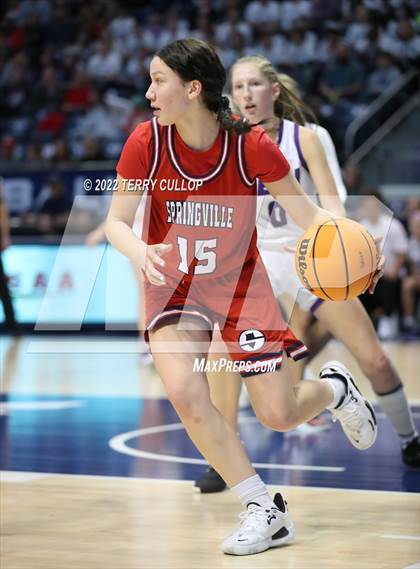 Thumbnail 3 in Springville vs. Lehi (UHSAA 5A Final) photogallery.