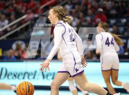 Thumbnail 1 in Springville vs. Lehi (UHSAA 5A Final) photogallery.