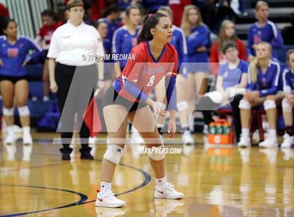 Thumbnail 1 in Rouse @ Leander photogallery.