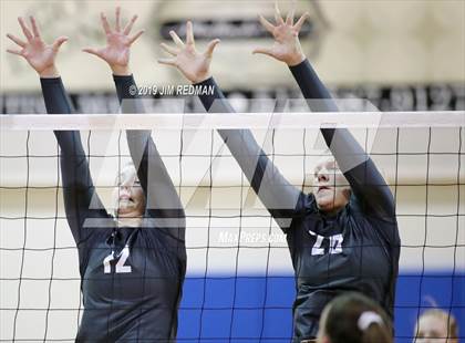 Thumbnail 1 in Rouse @ Leander photogallery.