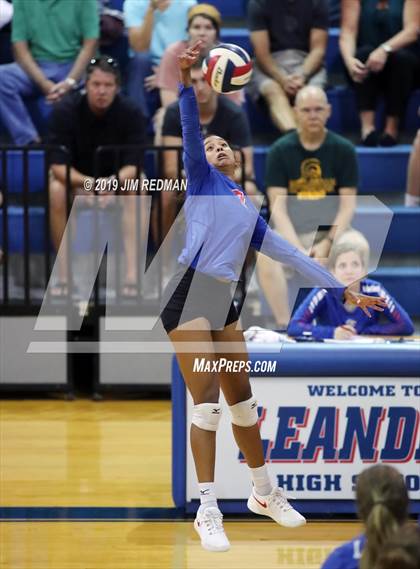 Thumbnail 1 in Rouse @ Leander photogallery.