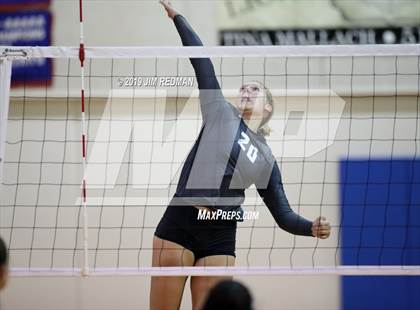 Thumbnail 2 in Rouse @ Leander photogallery.