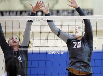 Thumbnail 3 in Rouse @ Leander photogallery.