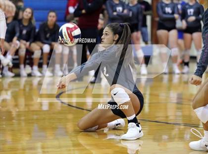 Thumbnail 1 in Rouse @ Leander photogallery.