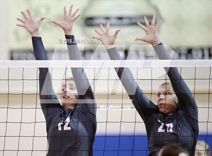 Thumbnail 3 in Rouse @ Leander photogallery.
