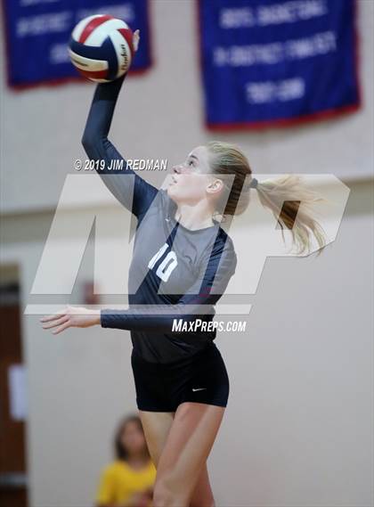 Thumbnail 3 in Rouse @ Leander photogallery.