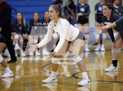 Thumbnail 1 in Rouse @ Leander photogallery.