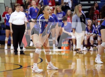 Thumbnail 3 in Rouse @ Leander photogallery.