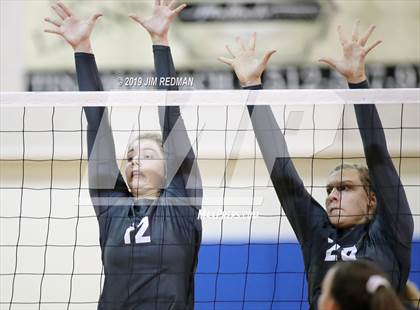 Thumbnail 2 in Rouse @ Leander photogallery.
