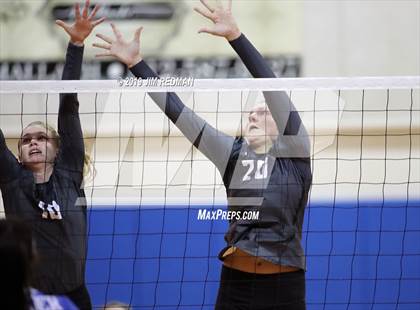 Thumbnail 2 in Rouse @ Leander photogallery.