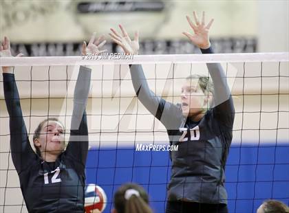 Thumbnail 3 in Rouse @ Leander photogallery.