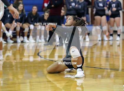 Thumbnail 3 in Rouse @ Leander photogallery.