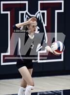 Photo from the gallery "Corona del Sol @ Hamilton"