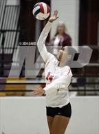 Photo from the gallery "Corona del Sol @ Hamilton"