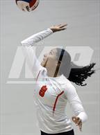 Photo from the gallery "Corona del Sol @ Hamilton"