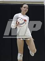 Photo from the gallery "Corona del Sol @ Hamilton"