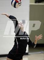 Photo from the gallery "Corona del Sol @ Hamilton"